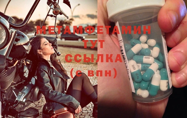 индика Беломорск