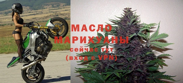 индика Беломорск