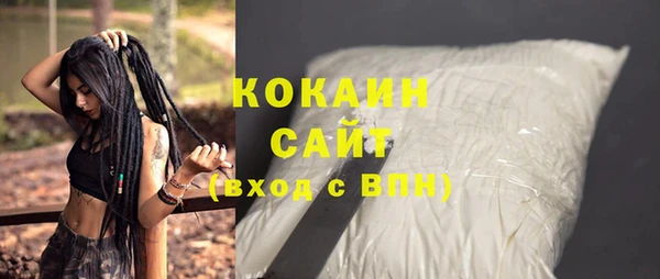 индика Беломорск