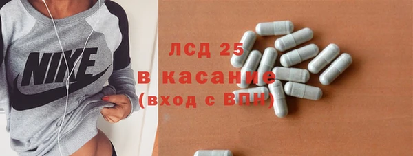 индика Беломорск