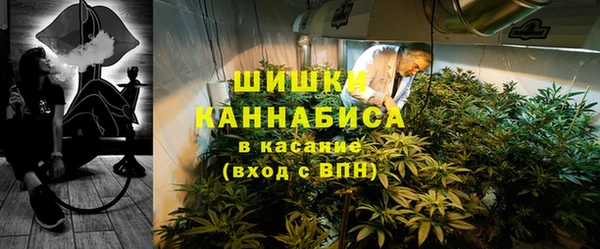 индика Беломорск