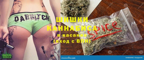 индика Беломорск