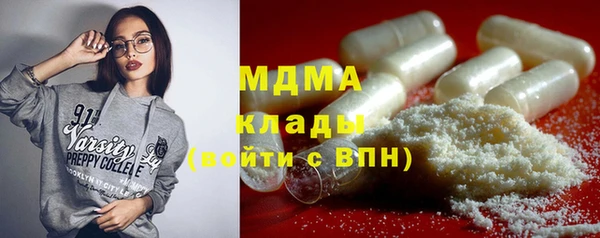 индика Беломорск