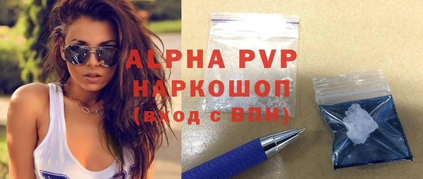 индика Беломорск