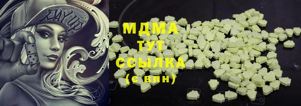 индика Беломорск
